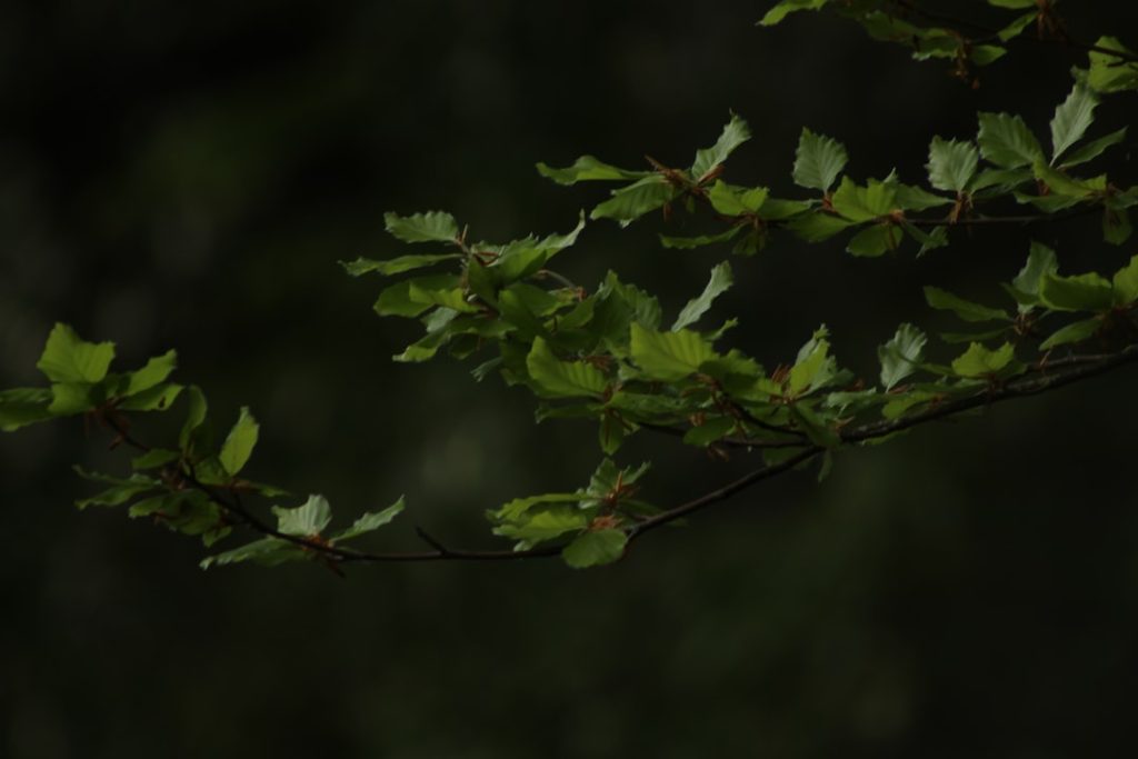 Fundusze hedgingowe dostępne dla inwestorów 1 Photo hedgingowe