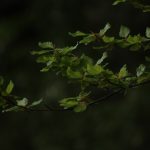 Fundusze hedgingowe dostępne dla inwestorów 4 Photo hedgingowe